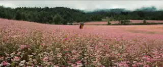 Loading the media file...