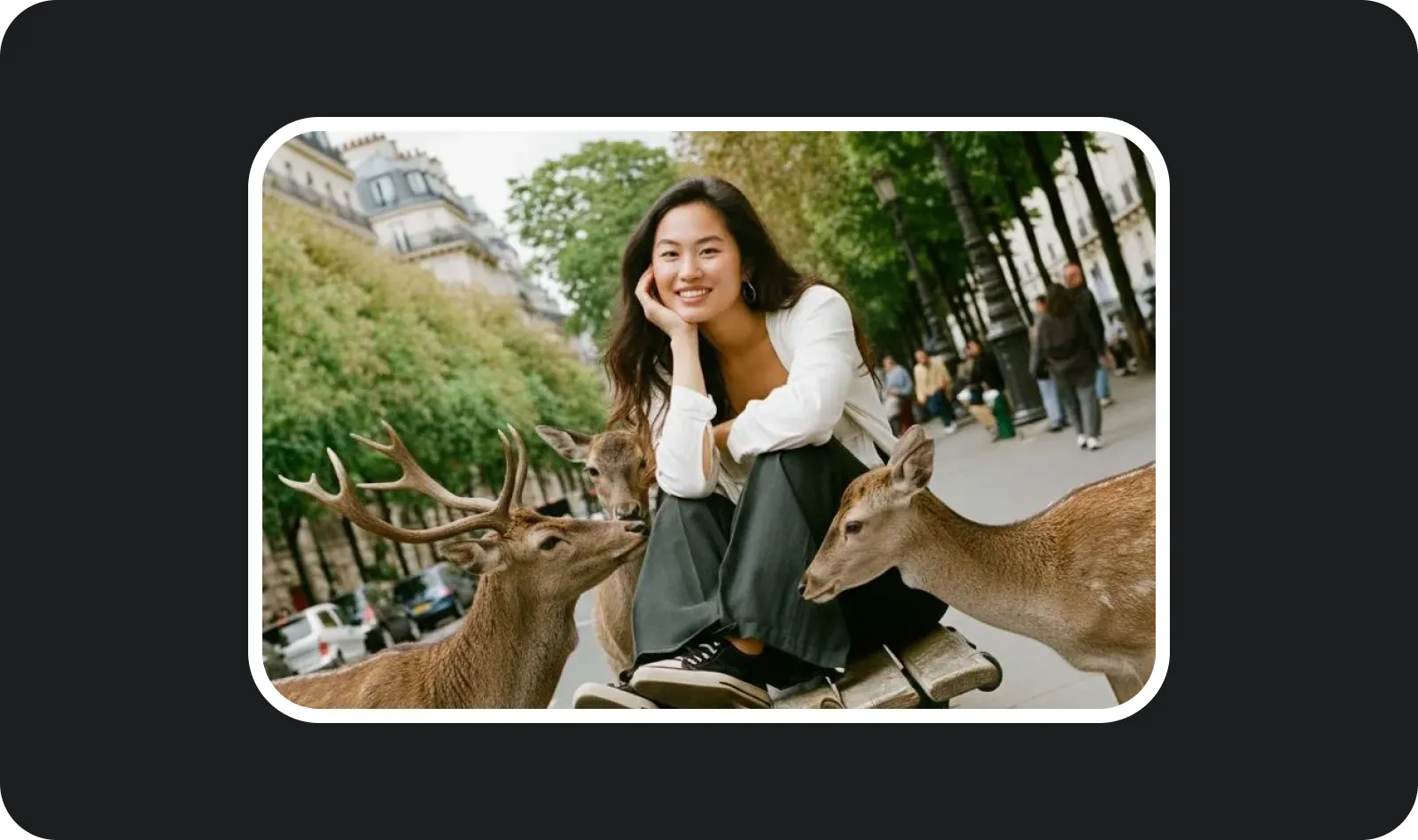 GET SURROUNDED: Click the button to transform your photo. The AI will seamlessly blend the cute animals around you.