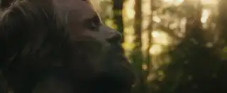 Loading the media file...